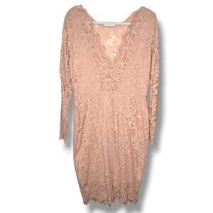 h and m pink lace dress H&M Pink Lace Detail Dress